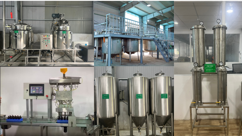 Chiết xuất tinh dầu Tràm gió bằng máy móc hiện đại