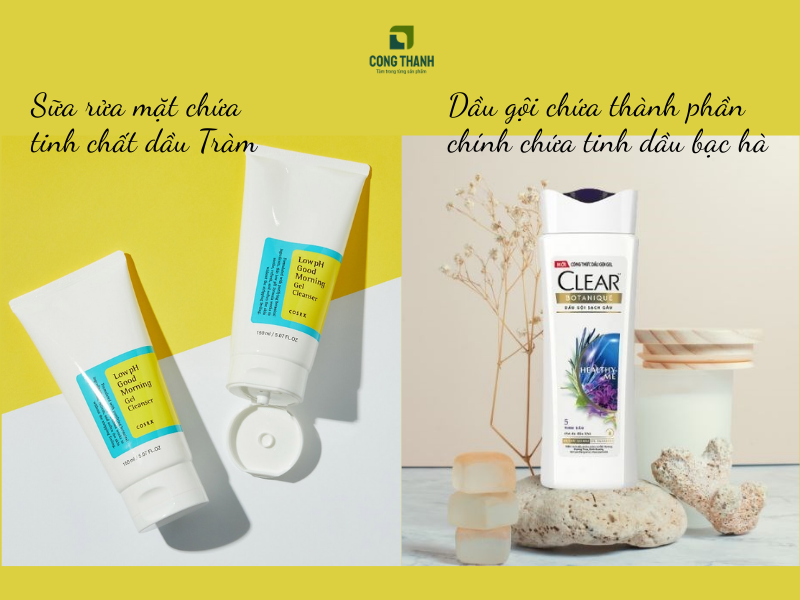 Các sản phẩm kết hợp tinh dầu được quan tâm trên thị trường