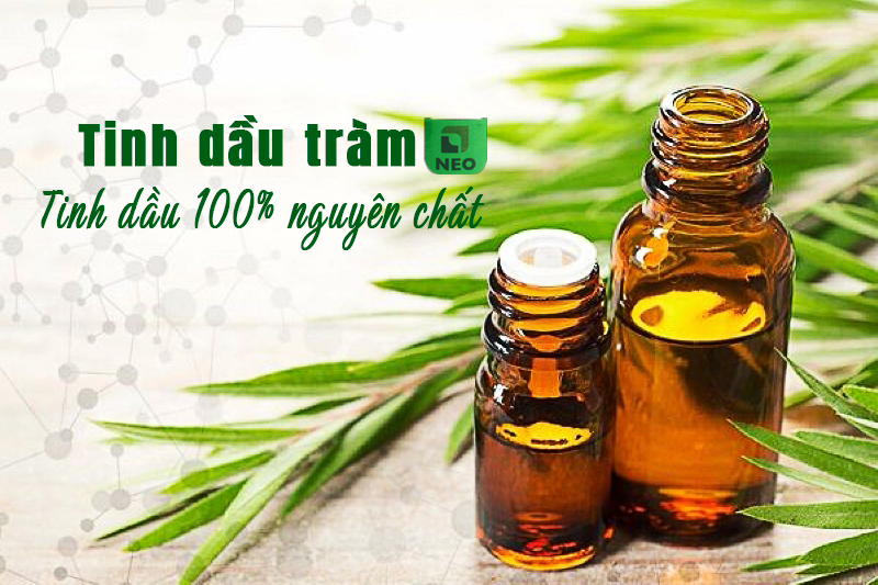 Ảnh minh họa tinh dầu Tràm Huế