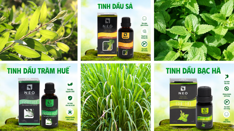 Bộ ba sản phẩm tinh dầu thiên nhiên chủ chốt công ty Công Thành