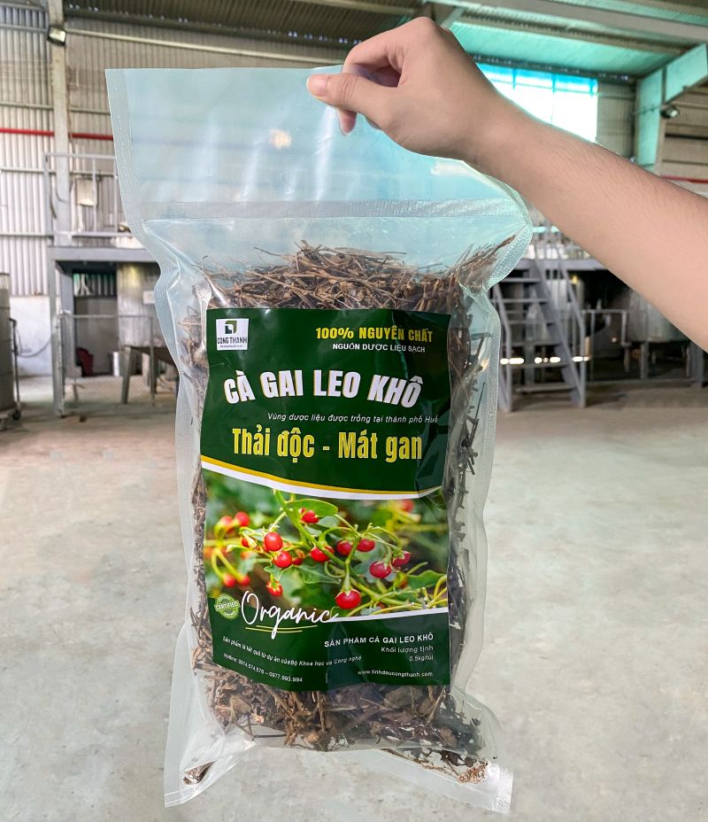 Cà gai leo khô Công Thành