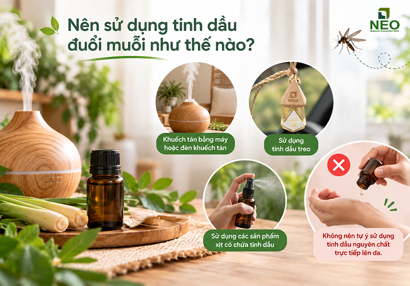 Một số phương pháp sử dụng tinh dầu để xua đuỗi muỗi