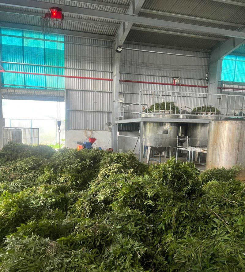 Công nghệ chiết xuất tinh dầu hiện đại tại Công Thành NEO