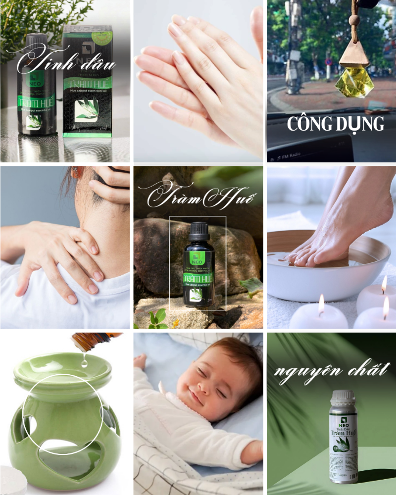 Công dụng đa dạng của tinh dầu Tràm