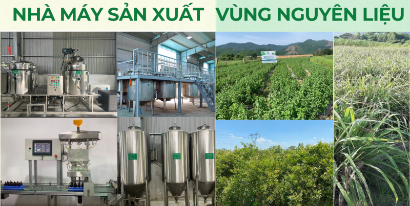 Tiêu chuẩn đạt chứng nhận OCOP