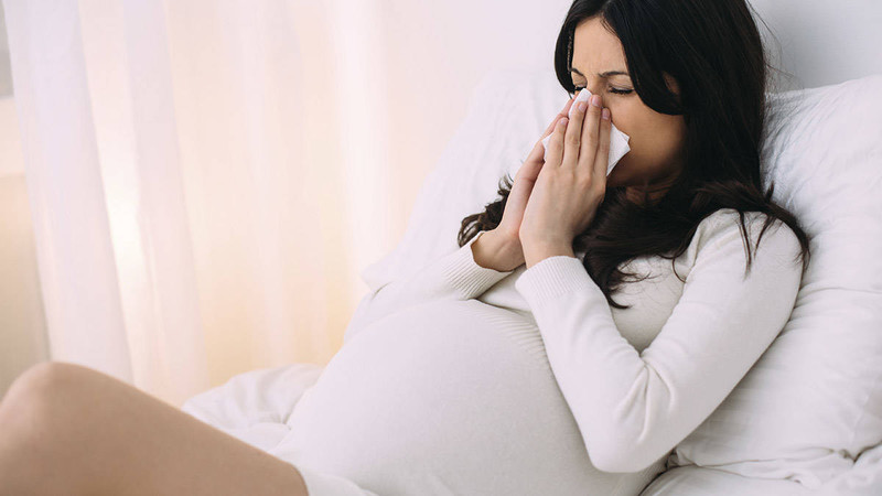 Tinh dầu tràm có tác dụng trị ho cho mẹ bầu