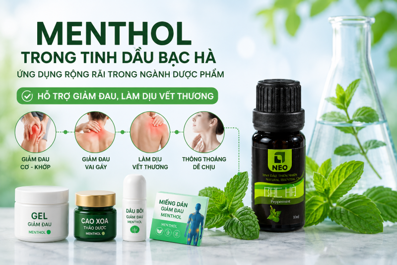 Menthol trong tinh dầu bạc hà là thành phần quan trọng sản xuất dược và mỹ phẩm