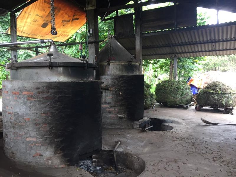 Tinh dầu Trầm được nấu theo kiểu truyền thống