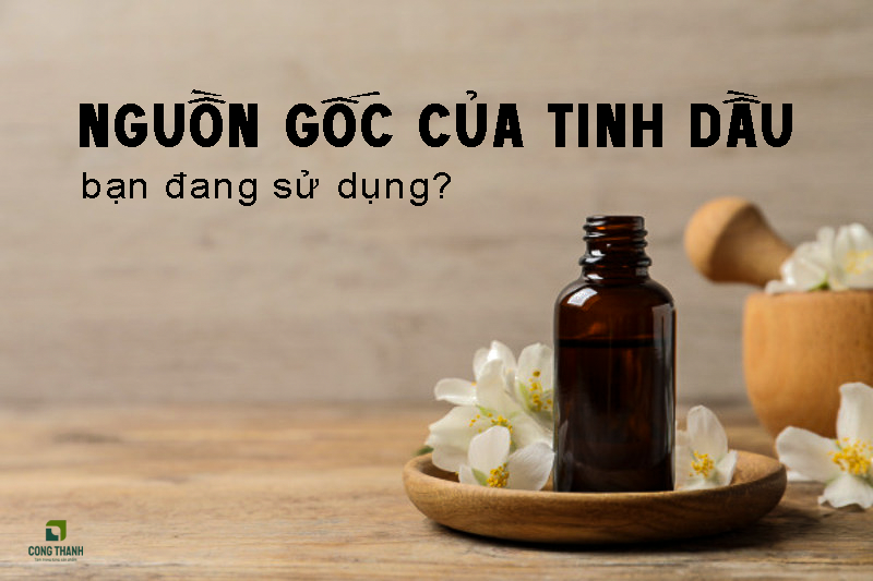 Tìm hiểu rõ nguồn gốc của tinh dầu bạn đang sử dụng để an tâm hơn