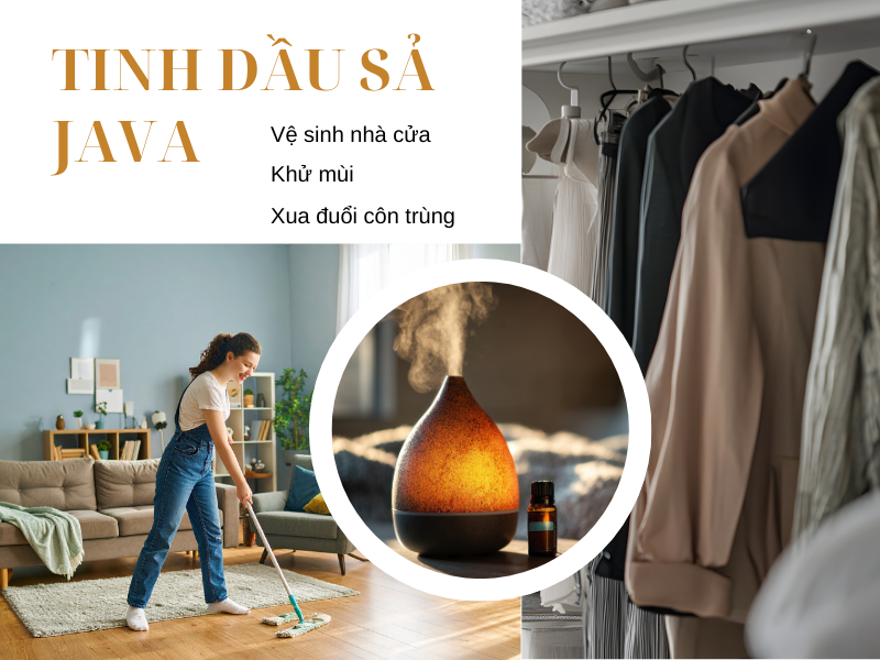 Công dụng tinh dầu sả Java