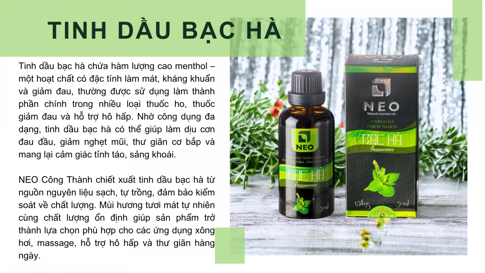 Tinh dầu Bạc hà