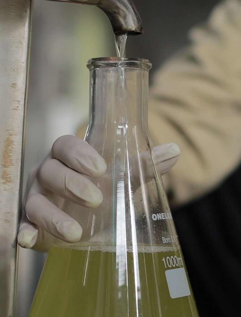 Công nghệ chiết xuất hiện đại thu được lượng tinh dầu đồng nhất và ổn định về chất lượng