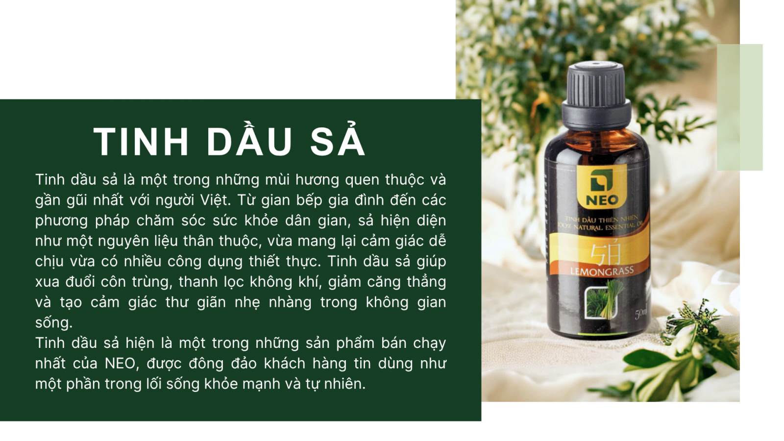 Tinh dầu Sả Java