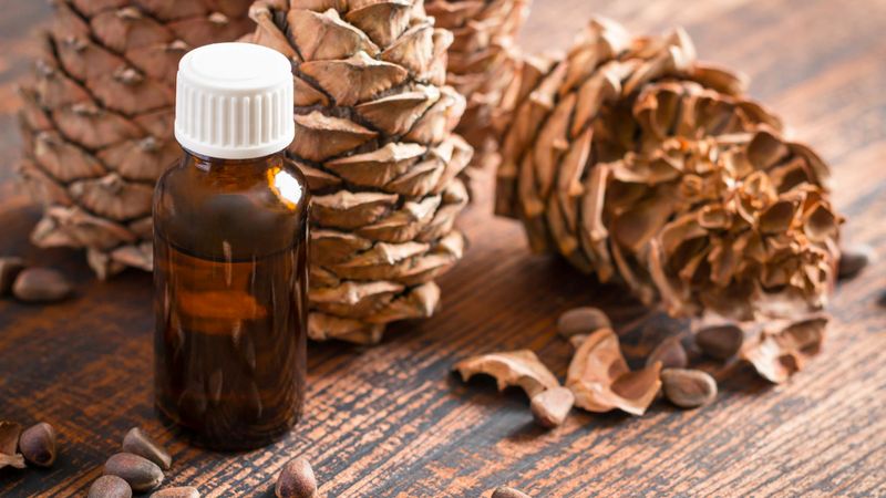 Tinh dầu Thông xua đuổi muỗi và côn trùng