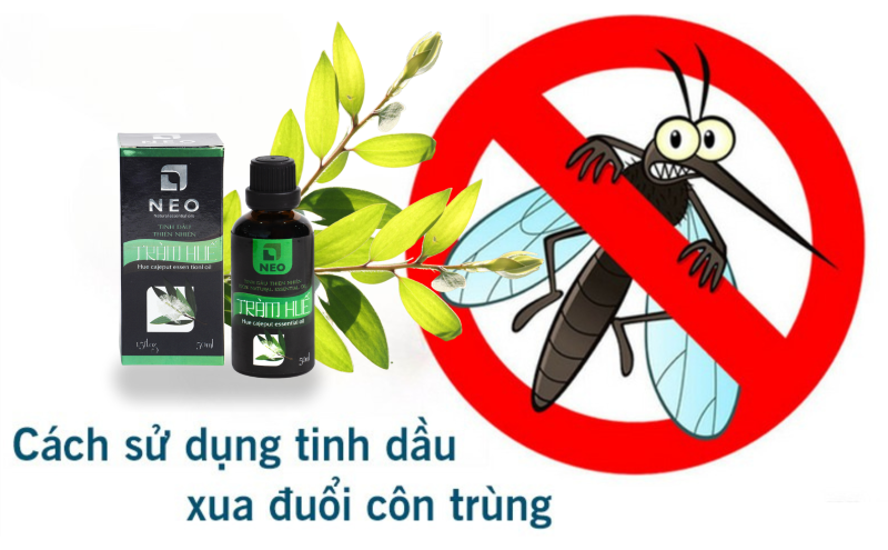 Tinh dầu xua đuổi côn trùng