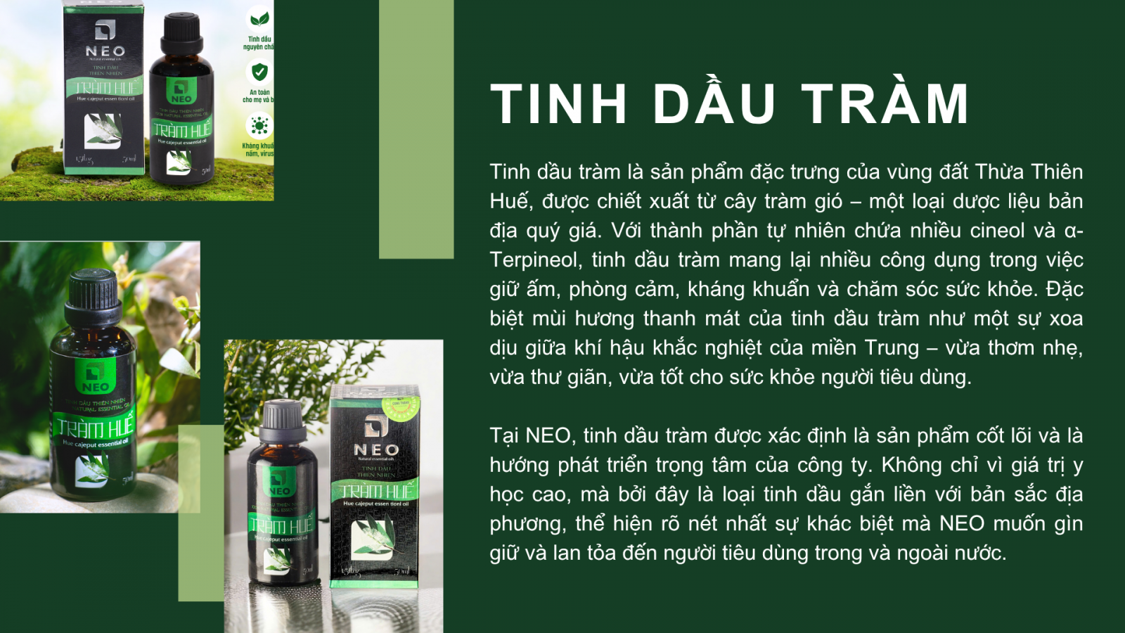 Tinh dầu Tràm Huế