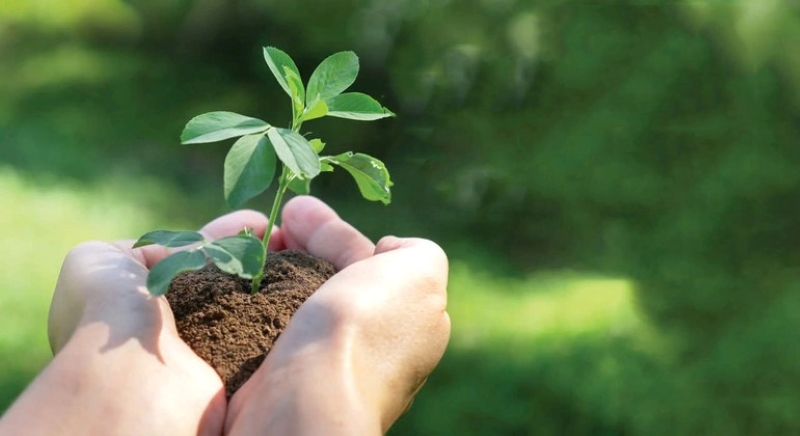 Thay đổi thói quen yêu thiên nhiên cân bằng cuộc sống