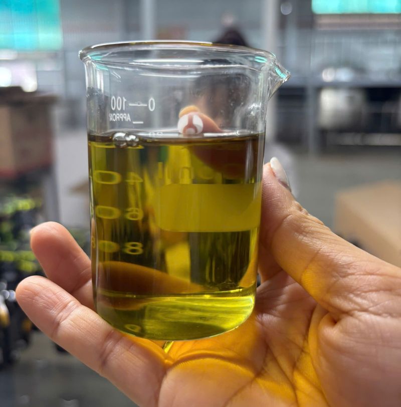 Tinh dầu Tràm gió Huế