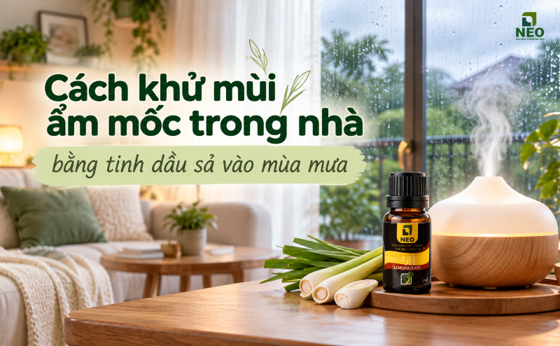 Cách khử mùi ẩm mốc trong nhà bằng tinh dầu sả hiệu quả vào mùa mưa