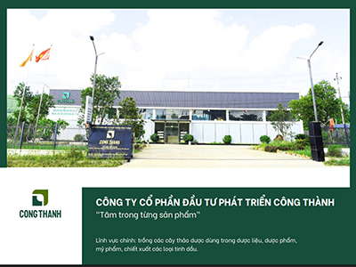 Công Thành - Công ty cung cấp tinh dầu số lượng lớn