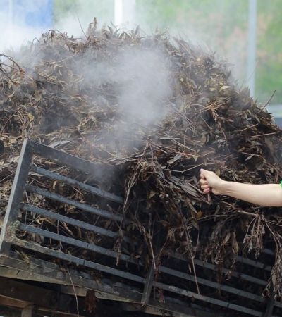 Bã Tràm sau khi chiết xuất có công dụng gì? Phương pháp bảo vệ môi trường trong nông nghiệp