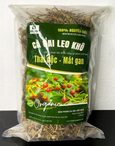 Cà gai leo khô thải độc mát gan 2025