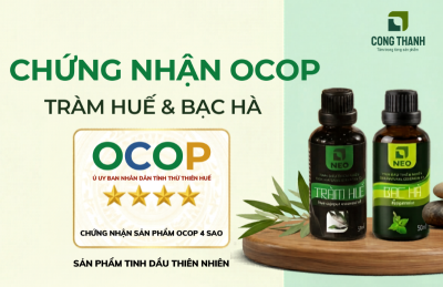 Chứng nhận OCOP 4 sao là gì? Sản phẩm tinh dầu tràm và bạc hà của NEO phải đáp ứng những tiêu chuẩn dày khe nào?