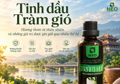 Công dụng của tràm gió Huế và liệu pháp dân gian với tinh dầu tràm