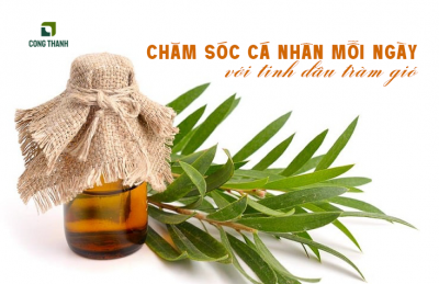 Kết hợp tinh dầu tràm vào thói quen chăm sóc cá nhân mỗi ngày