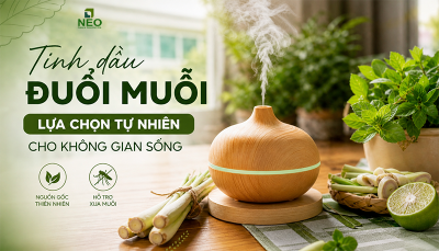 Tinh dầu đuổi muỗi: Lựa chọn tự nhiên cho không gian sống