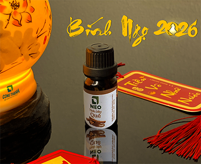 Tinh dầu Quế và công dụng xông phòng được ưa chuộng