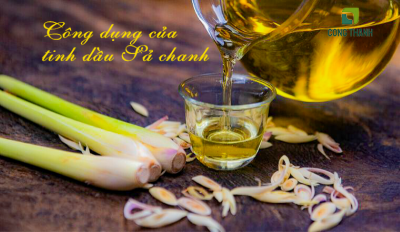 Tinh dầu Sả chanh cho doanh nghiệp kinh doanh dịch vụ