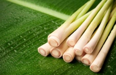 Tinh dầu sả chanh là sả trộn với chanh?