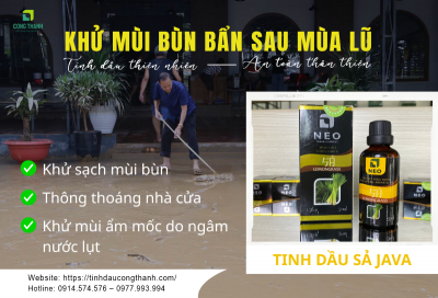 Tinh dầu Sả Giải pháp làm sạch mùi bùn sau lụt hiệu quả và an toàn