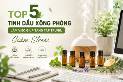 Top 5 tinh dầu xông phòng làm việc giúp tăng tập trung, giảm stress