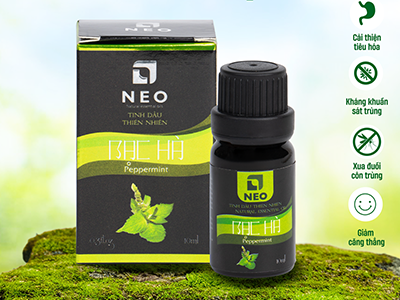 Tinh dầu Bạc hà nguyên chất chuẩn VietGAP