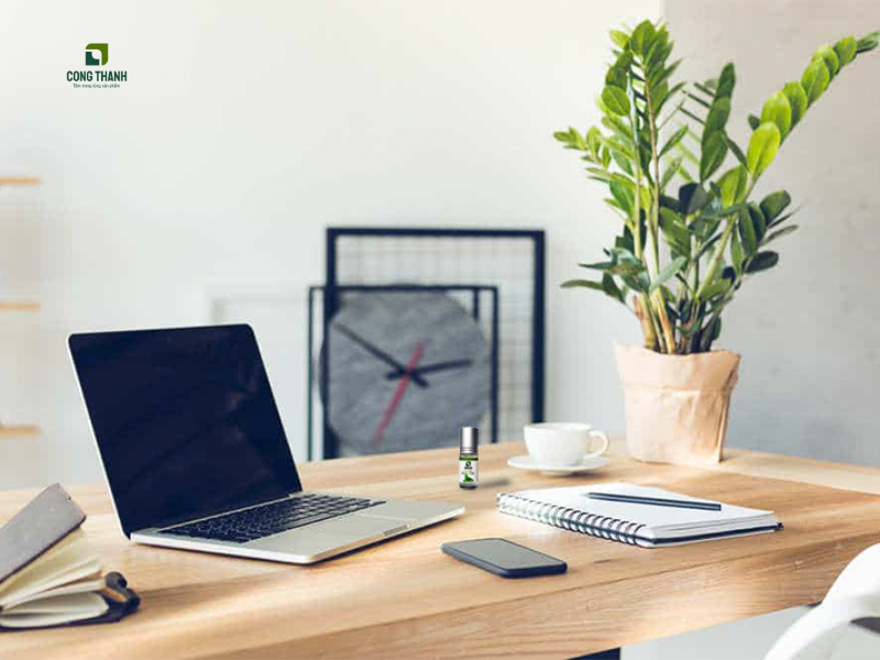 Tinh dầu bạc hà và góc làm việc chữa lành