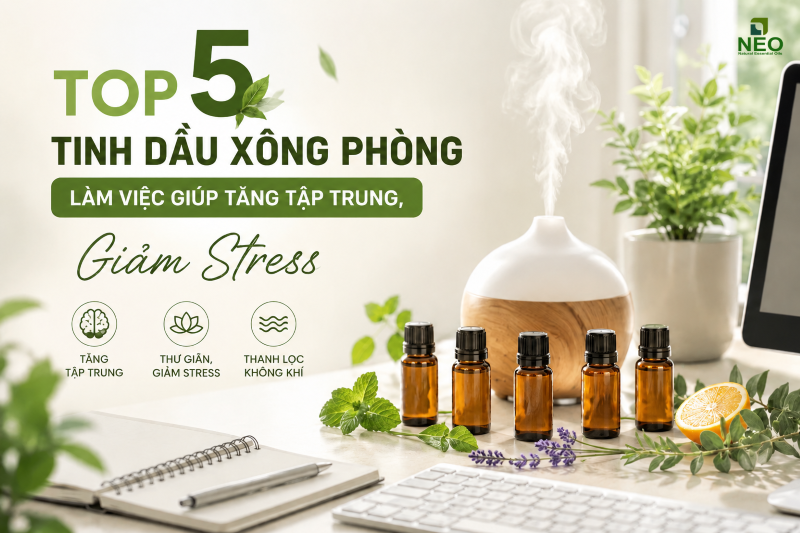 Top 5 tinh dầu xông phòng làm việc giúp tăng tập trung, giảm stress