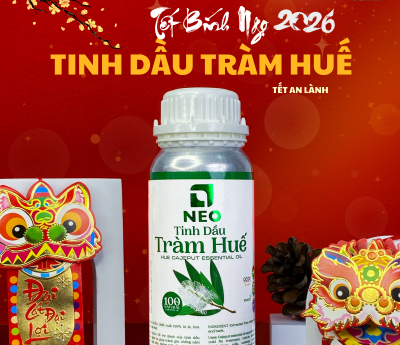 Xuân 2026 - Một mùa Xuân mới, một hành trình mới